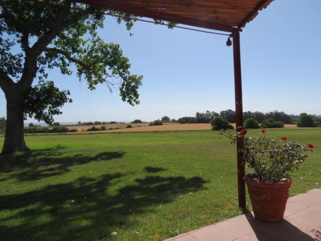 Willa La Casona De San Pedro Colonia del Sacramento Zewnętrze zdjęcie